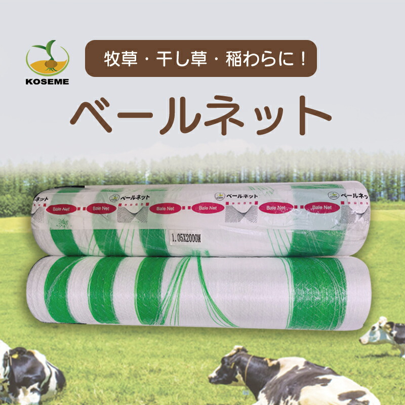 在庫あり  【MKRIJJAFQ9Z】 限定デザイン