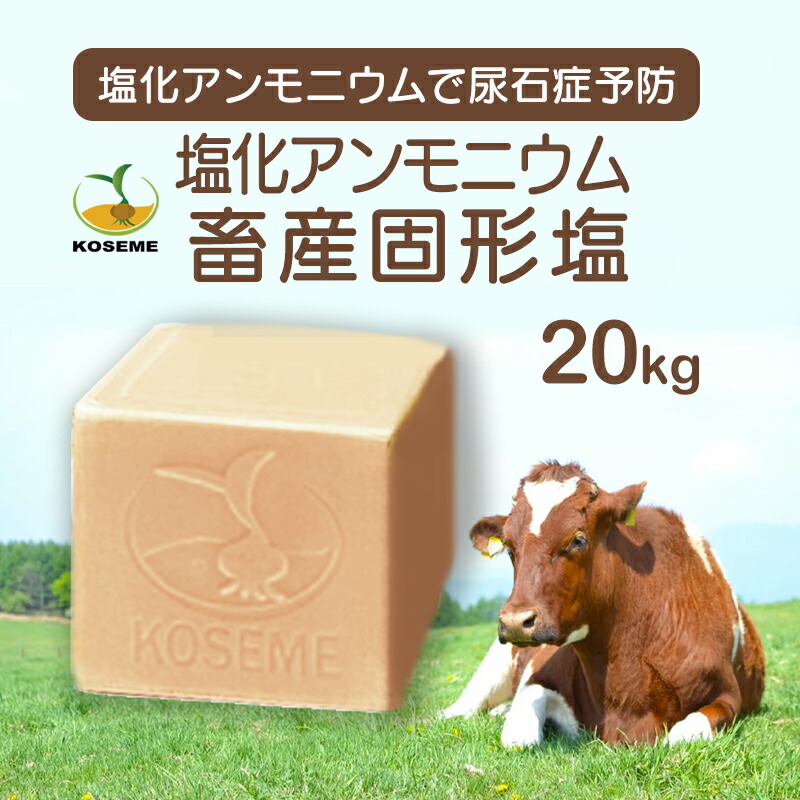 楽天市場】【送料無料】KOSEME ミネラル畜産用 固形塩 20kg｜10 成分