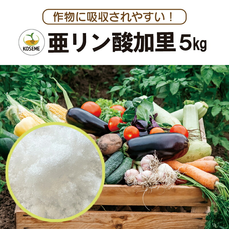【貨物輸送無料】亜リン酸カリウム-５kg