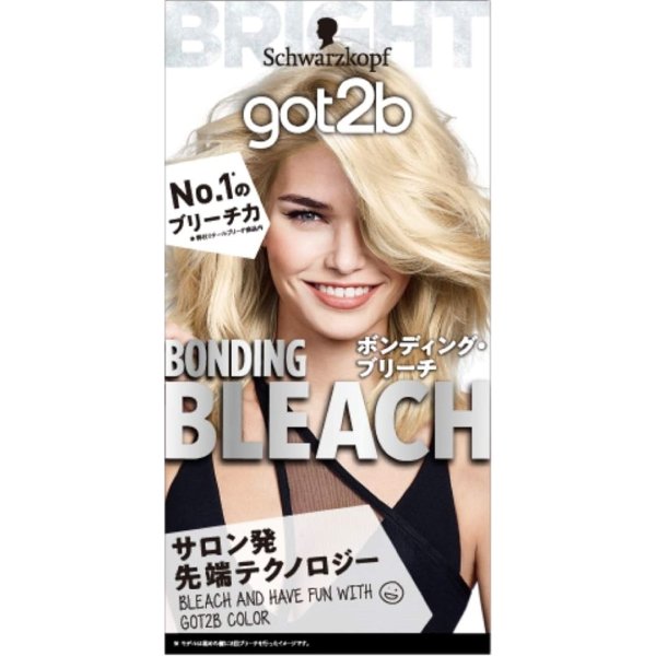 楽天市場】京極(KYOGOKU) ブリーチモンスター 500g ｜ ブリーチ / 第二