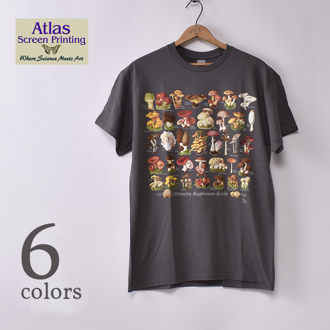 【中古】 Ｔシャツを作ろう やさしく作ってたのしく着るＴシャツのアイデア集/ダヴィッド社/上口睦人 CHAMPION ”AAA” WATER PRINT T-SHIRT（1960'S/X-LARGE） - 古着