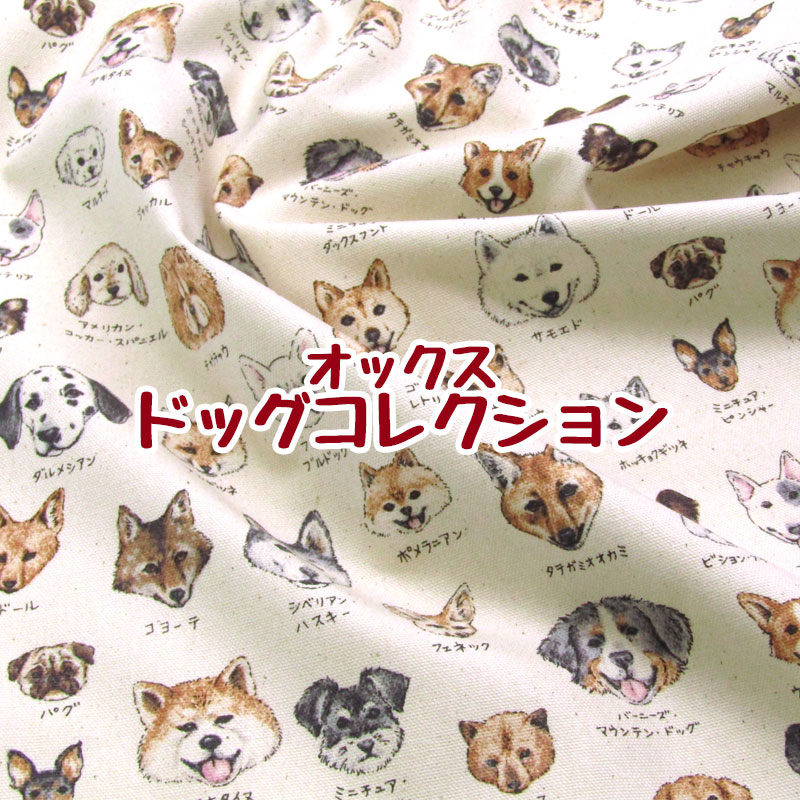 ブラックオブシディアン 犬 わんこ