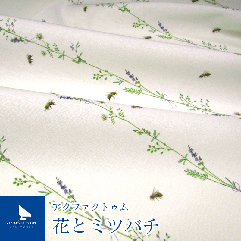 楽天市場】acufactum アクファクトゥム 冬草のエルフ(単位10cm 楽天市場】acufactum アクファクトゥム 冬草のエルフ(単位10cm