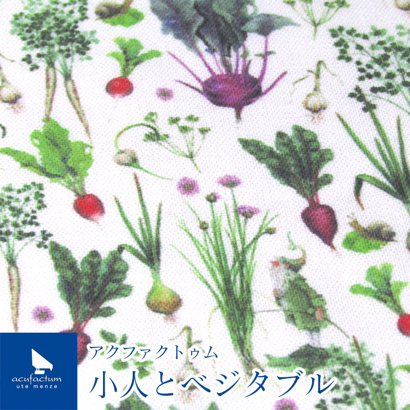 楽天市場】acufactum アクファクトゥム 冬草のエルフ(単位10cm 楽天市場】acufactum アクファクトゥム 冬草のエルフ(単位10cm