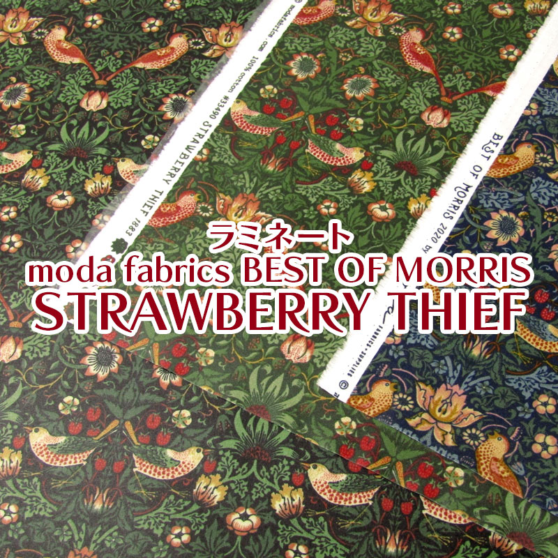 楽天市場】つや消しラミネート moda fabrics BEST OF MORRIS PIMPERNEL