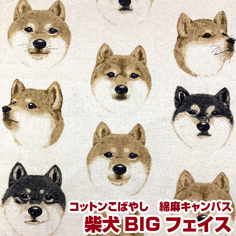 柴犬！ Amazon | [TOYBARJAPAN ]1/6 フィギュア JXK studio JXK053C 日本柴犬