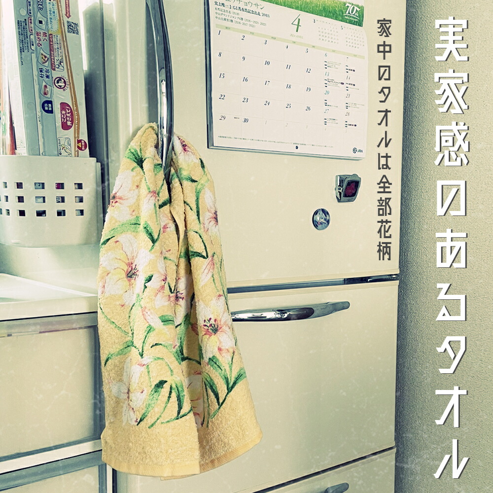 泉州こだわりタオル ピマコットンクリスタルソフト　タオルケット2P 泉州こだわりタオル ピマコットンクリスタルソフト タオルケット2P