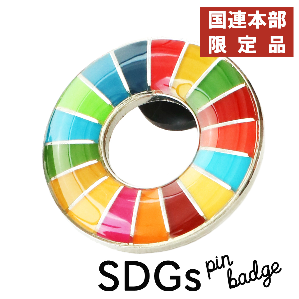2個セットSDGS バッジ 国連標準規格サイズ 25.5mm