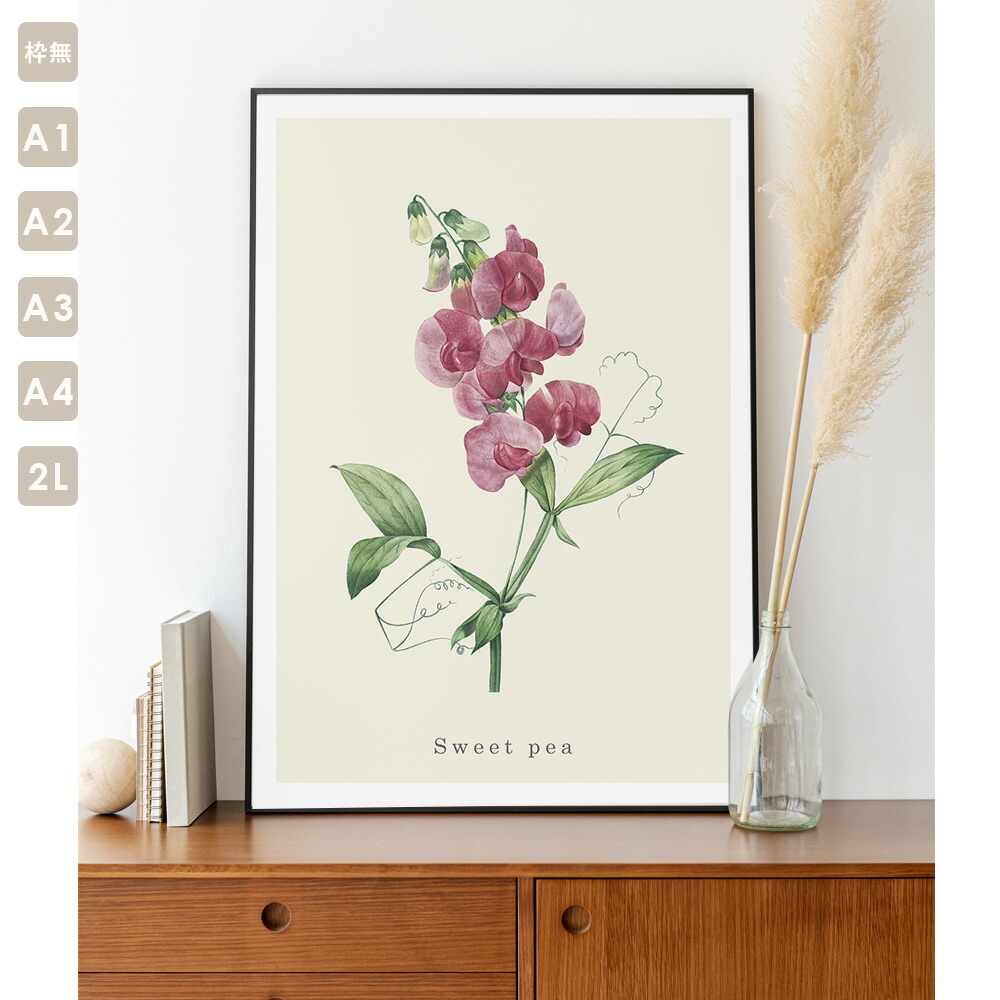 botanical7-1.jpg