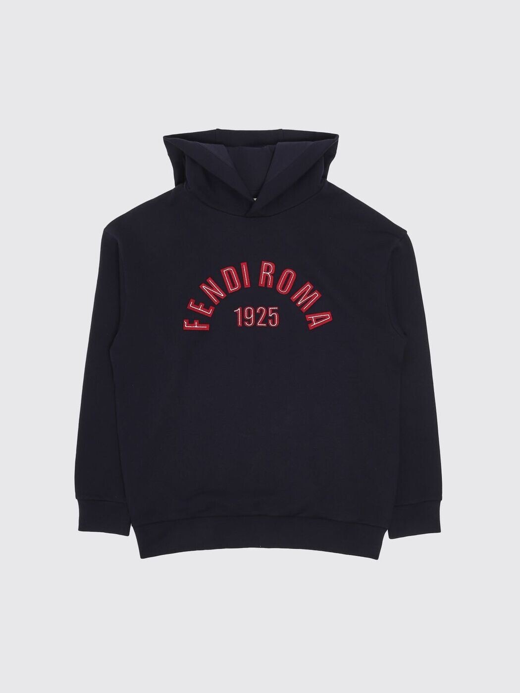 FENDI FENDI クルーネックジャンパー 編み物御召しもの ボーイズ 青碧 Crew neck jumpers JUH1115V0 関税 貨物輸送無料 2026SS gi