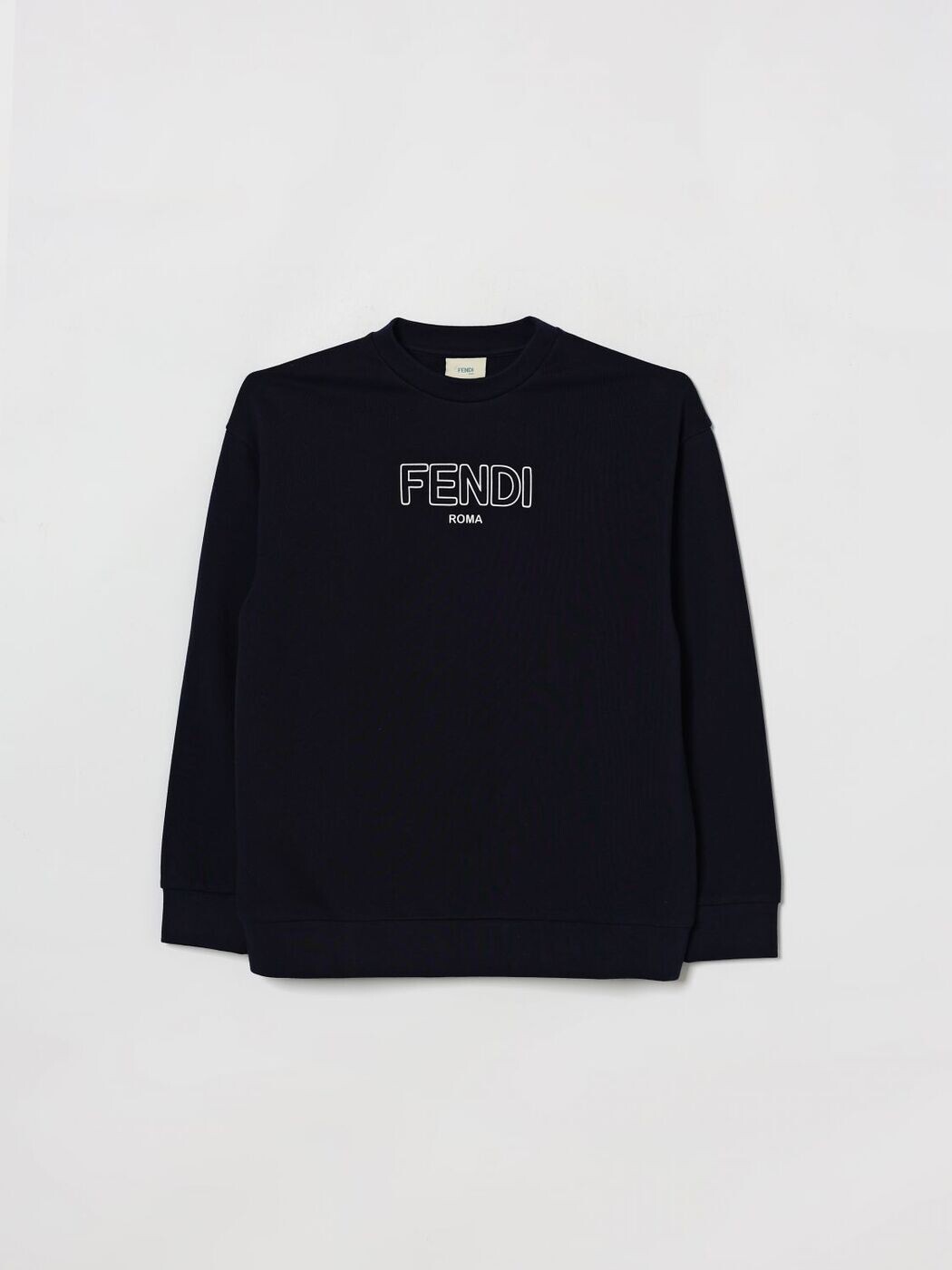 FENDI FENDI クルーネックジャンパー 編み物御召しもの ボーイズ 青味 Crew neck jumpers JUH1085V0 Blue 関税 貨物輸送無料 2026SS gi