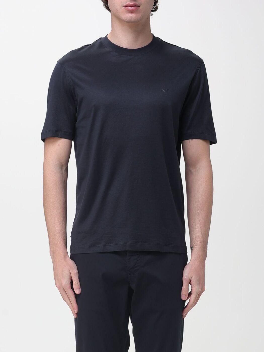 エン急性灰白髄炎 アルマーニ EMPORIO ARMANI ティーシャツ メンズ 米国海軍 T-shirts EM005491AF24839 関税 貨物輸送無料 2026SS gi トップス-メンズファッション-Tシャツ・カットソー