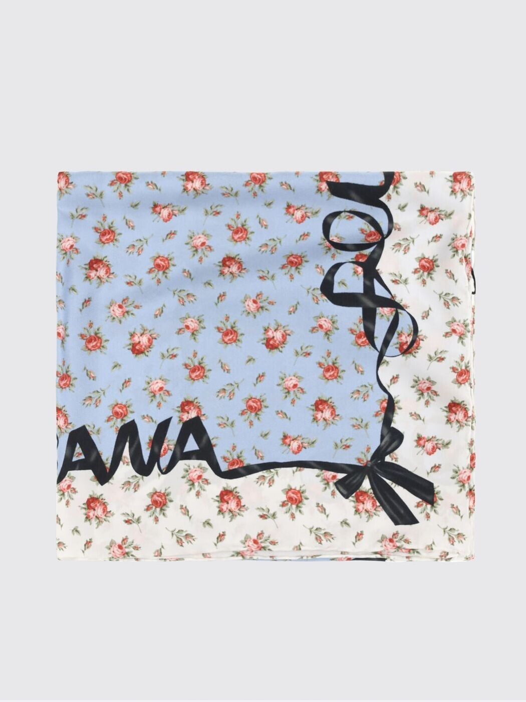 ドルチェ\u0026ガッバーナ DOLCE\u0026GABBANA 先端技術付属物 流行り物小物 レディース マルチ色つや Hi-tech accessories FN092RGDDLO 関税 貨物輸送無料 2026SS gi