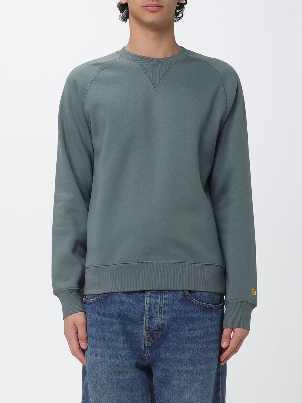 鉄道車両ハート型 ダブリューアイピー CARHARTT WIP トレーナー 調教師 メンズ 緑であること Sweatshirts I033660 関税 貨物輸送無料 2026SS gi