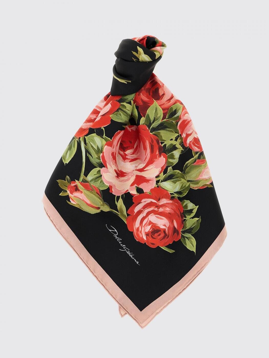 ドルチェ\u0026ガッバーナ DOLCE\u0026GABBANA 先端技術付属物 流行り物小物 レディース 黒いこと Hi-tech accessories FN090RGDDPL 関税 貨物輸送無料 2026SS gi