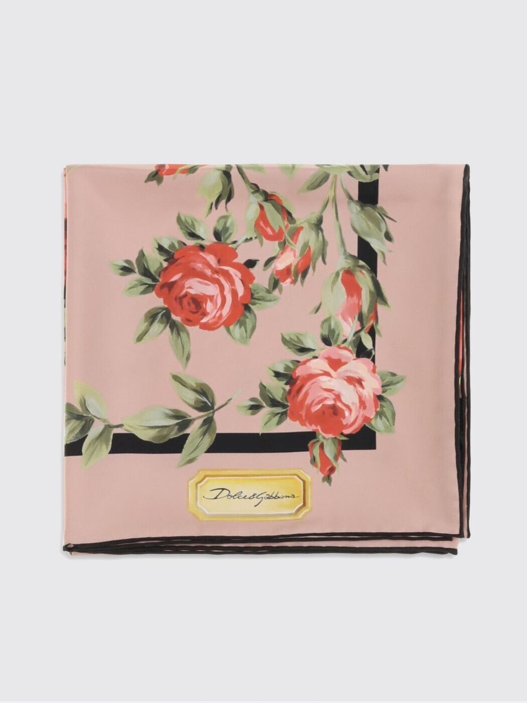 ドルチェ\u0026ガッバーナ DOLCE\u0026GABBANA 先端技術付属物 流行り物小物 レディース さくら色 Hi-tech accessories FN090RGDDPL 関税 貨物輸送無料 2026SS gi
