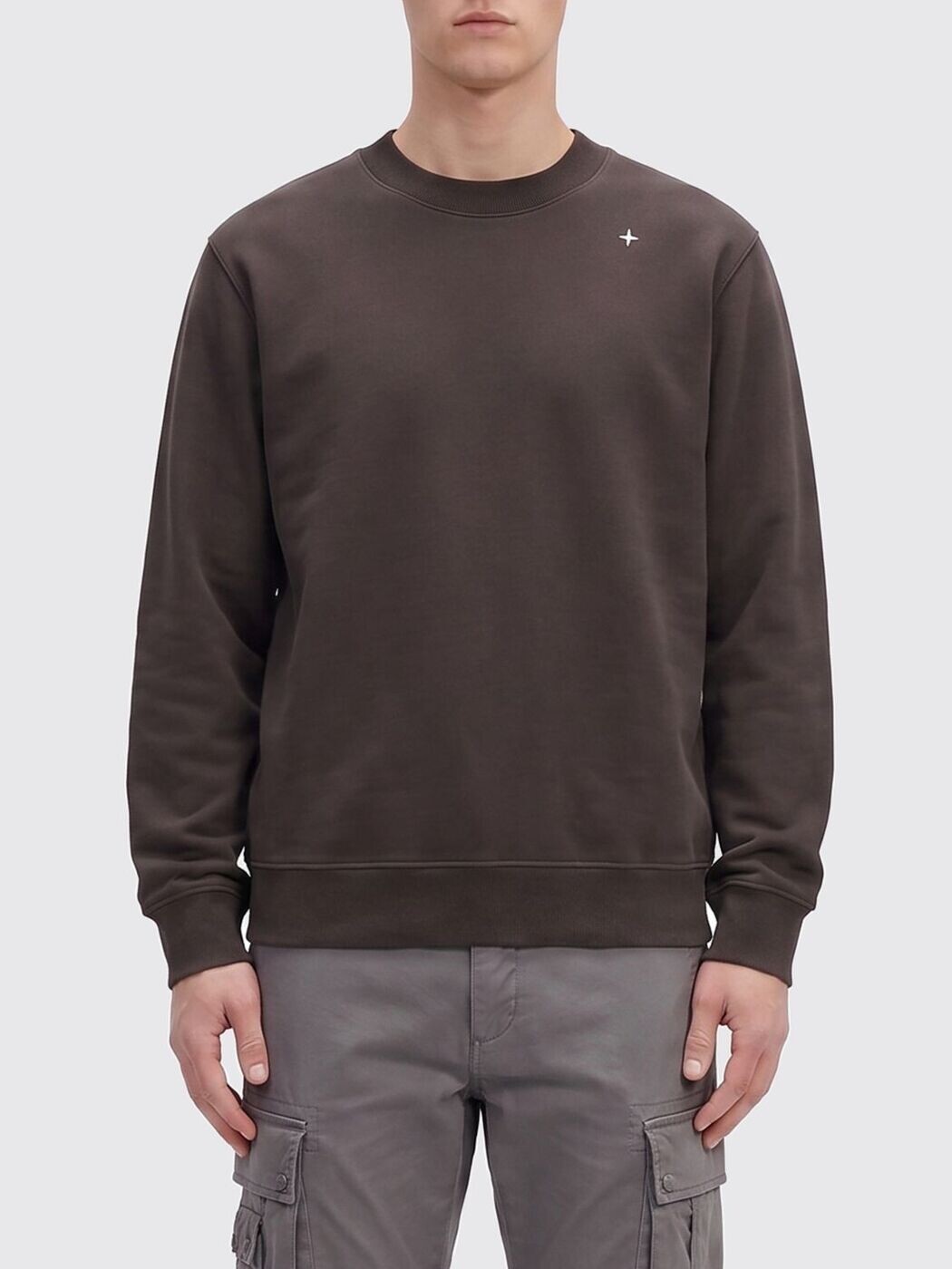 石ころ 島 STONE ISLAND トレイナー 調教師 メンズ Sweatshirts 6100036S00G5 関税 貨物輸送無料 2026SS gi