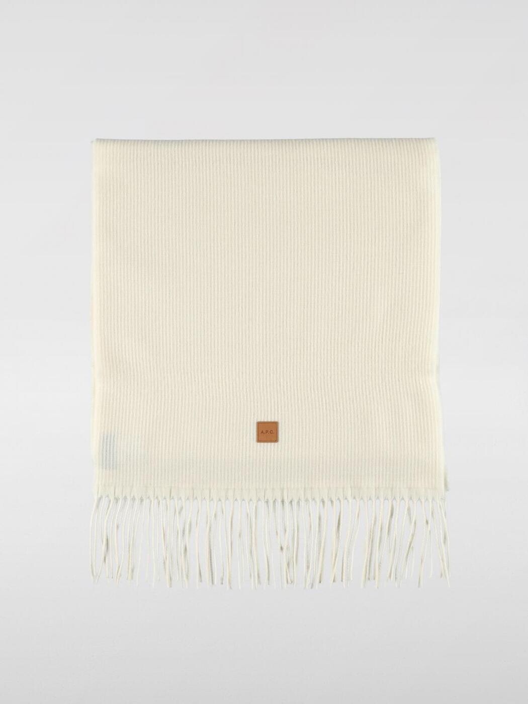 アーペーセー A.P.C. ハイテクアクセサリー ファッション小物 メンズ ベージュ Hi-Tech Accessories M15226WVBEI 関税 送料無料 2025AW gi