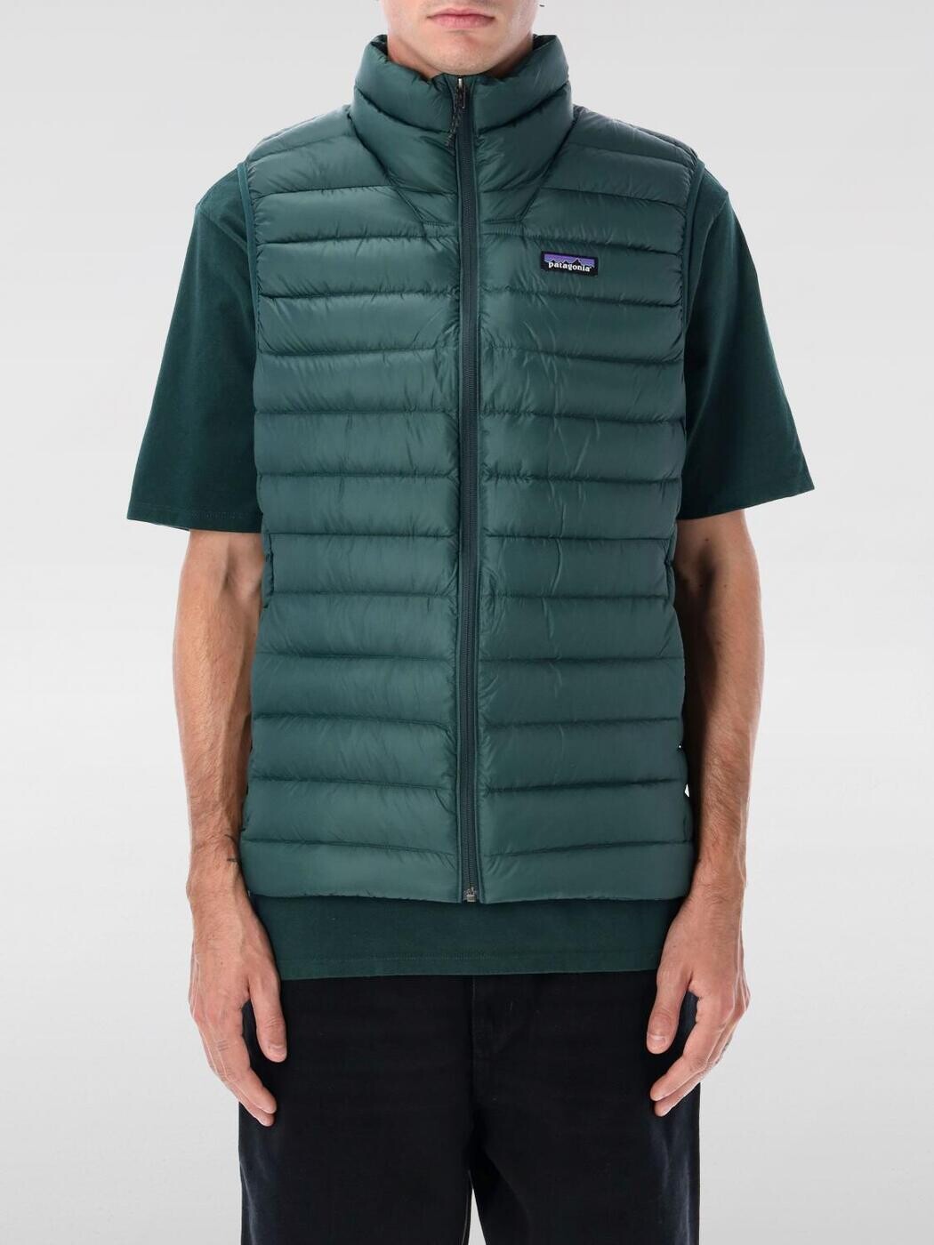 パタゴニア PATAGONIA ジレ より良い メンズ 緑であること Vests 84623 関税 貨物輸送無料 2025AW gi