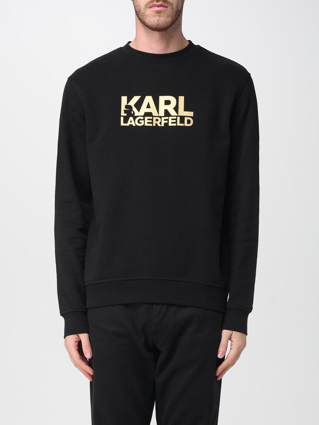 長い巻き毛 ラガーフェルド KARL LAGERFELD トレーナー 調教師 メンズ しろがね色 Sweatshirts 705091554917 関税 貨物輸送無料 2026SS gi