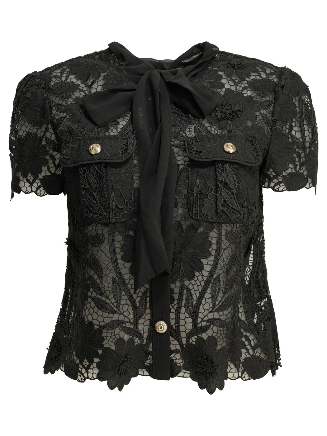 セルフ すがた絵 SELF PORTRAIT プルオーバー レディース 黒いこと Shirts Lace blouse PF26-111T-BBLACK Black 関税 貨物輸送無料 2026AW vi