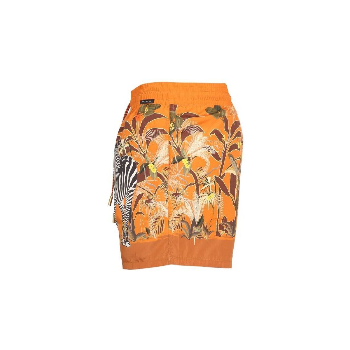 通販でクリスマス ETRO メンズ 水着 ecousarecycling.com
