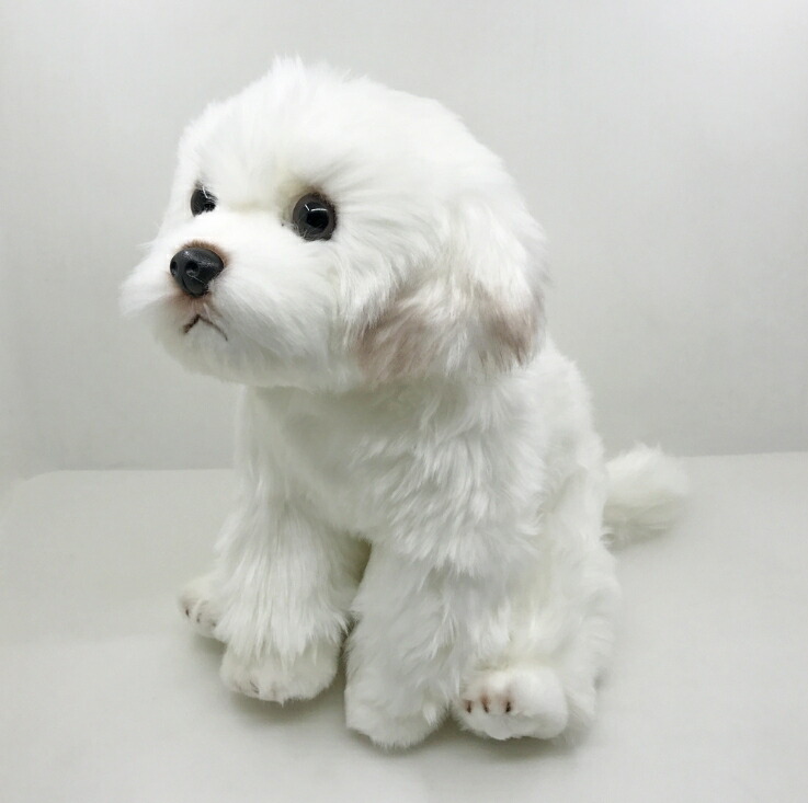 楽天市場】犬の置物 マルチーズ おまけ付 いぬ イヌ 動物