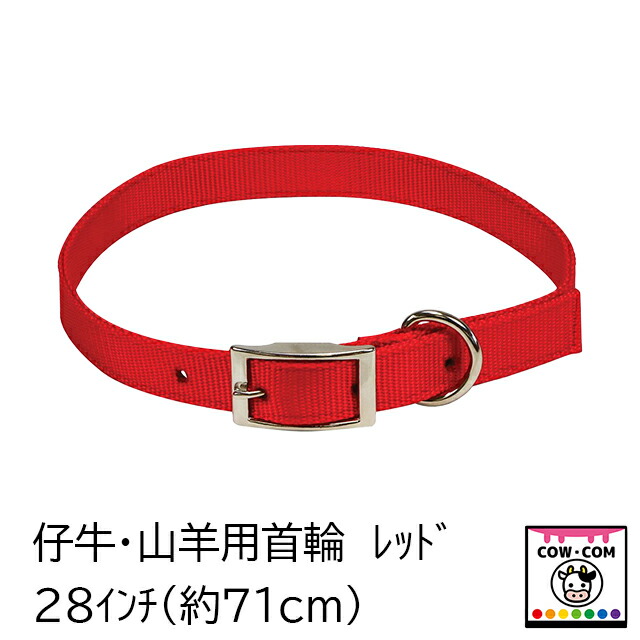 仔牛・山羊用首輪 レッド (28インチ 71cm)