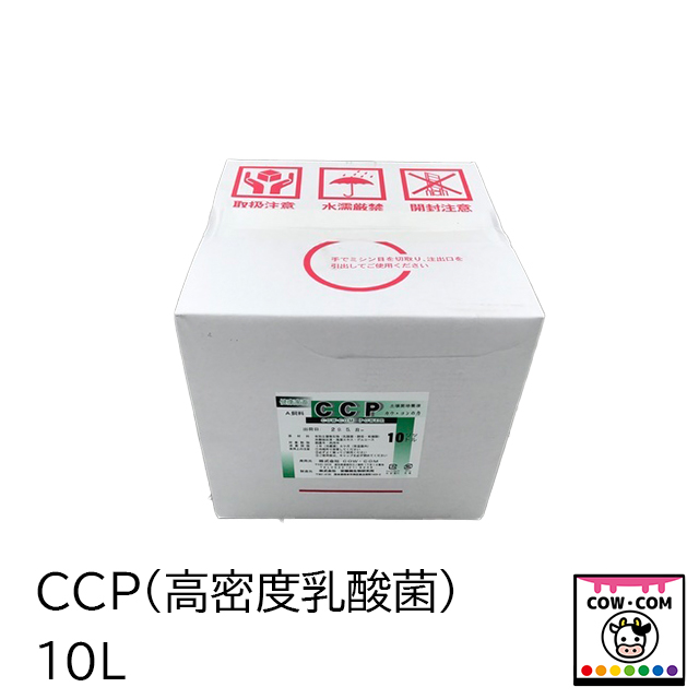 [売れ筋 ] MW2FD4QGFTD (MW2FD4QGFTD)