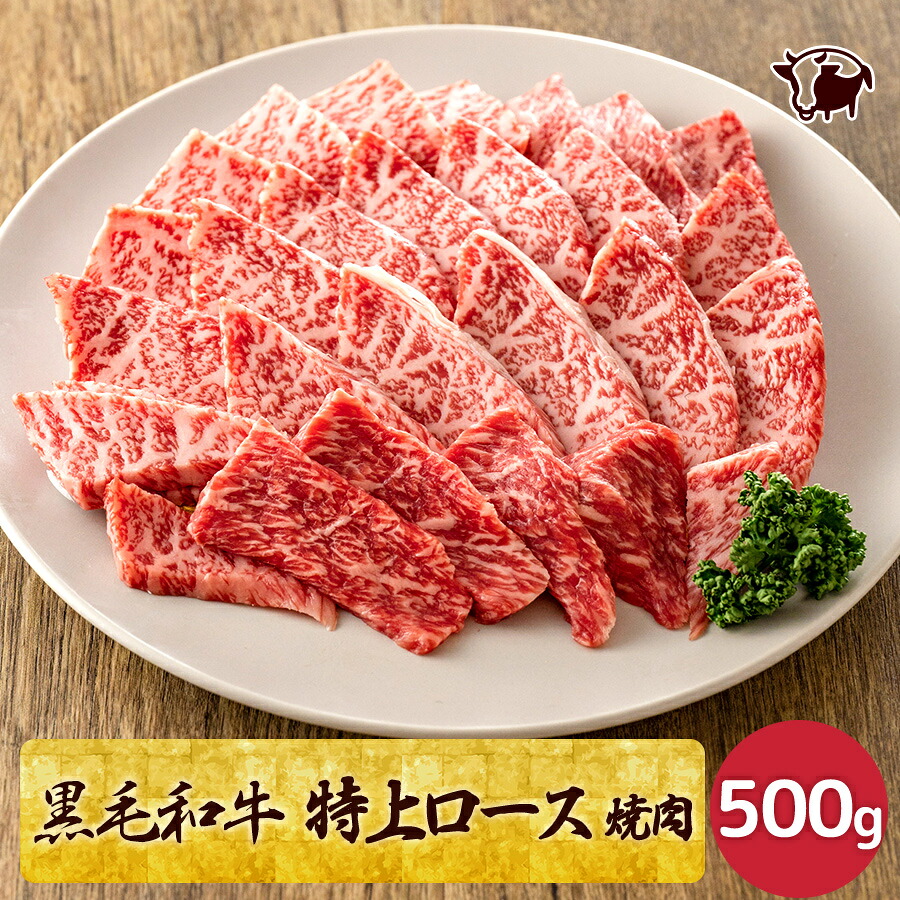 黒毛和牛 特上高級霜降り焼肉 500g A5ランク 和牛 サーロイン リブロース プレゼントBBQ 高級肉 牛肉 ギフト 焼肉 お取り寄せグルメ 美味しい 贈り物 誕生日 お祝い 内祝い 送料無料 入学祝い 合格祝い