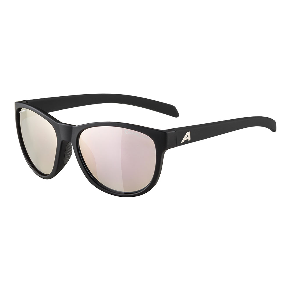 【6/8は「2倍！」エントリーで尖んがりUP】ALPINA NACAN II BLACK MATT SUNGLASSES アルピナ ナカン II 黒いこと引っ敷き 黒眼鏡 読み込む自動二輪車 4003692316486