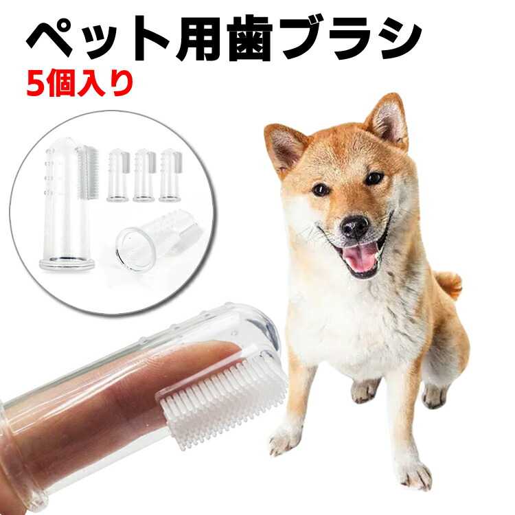 SALE／102%OFF】 犬 歯ブラシ 歯磨き ハブラシ シリコン 犬用 ペット ペットグッズ 犬用品 お手入れ グルーミング用品 歯のケア  matka122.com