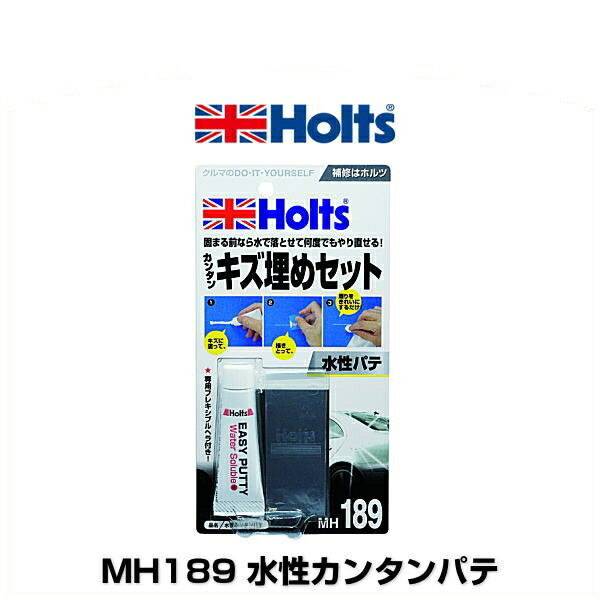 最大69%OFFクーポン Holts タッチアップパテ MH989 tronadores.com