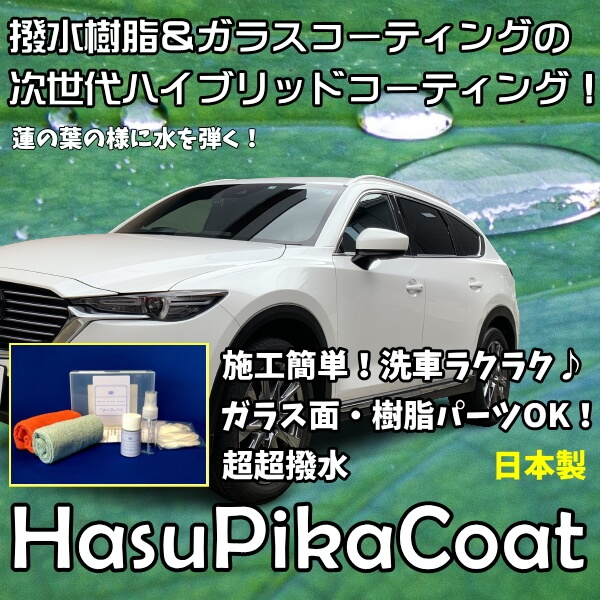 コーティング剤 車 ガラス 蓮ピカコート ボディ 撥水樹脂ガラスコーティング ガラスコート剤 10cc 日本製
