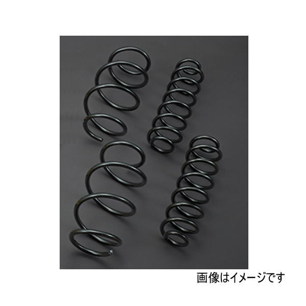 TRD MS250-42003 コイルスプリングセット RAV4 5#系 2019.4～ Adventure（ガソリン車）【区分大】