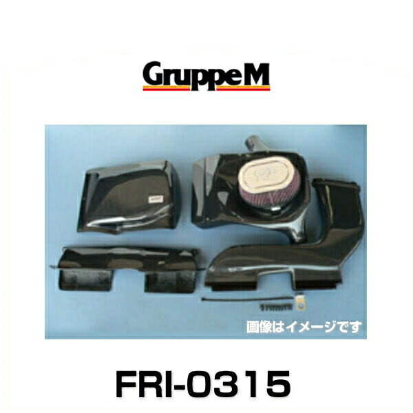 GruppeM グループエム FRI-0315 RAM AIR SYSTEM ラムエアシステム BMW用