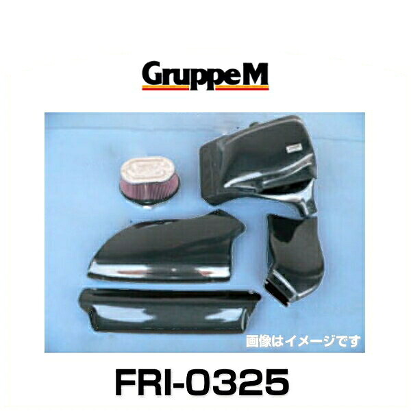 GruppeM グループエム FRI-0325 RAM AIR SYSTEM ラムエアシステム BMW用