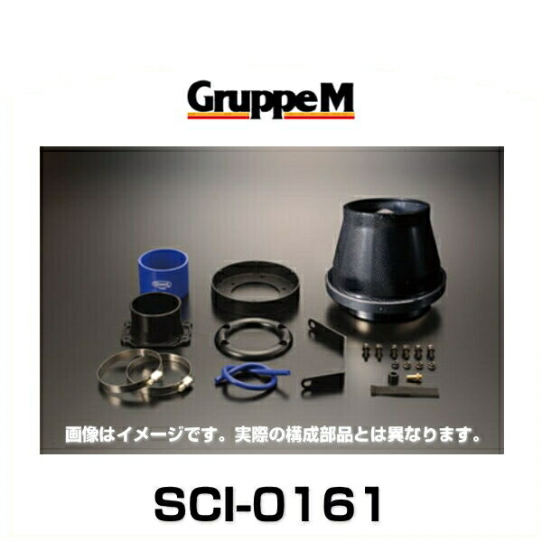 GruppeM グループエム SCI-0161 SUPER CLEANER CARBON スーパークリーナーカーボン フォード