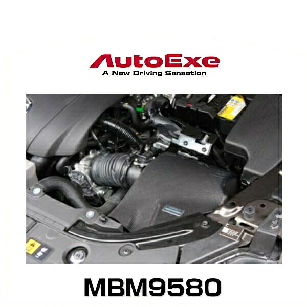 AutoExe オートエクゼ BMA2V5900（MBM9580） ラムエアーインテークシステム アクセラ(BMEFS) / アテンザ(GJEFP/GJEFW)　※ガソリンエンジン2.0L車用｜クリーズオンライン