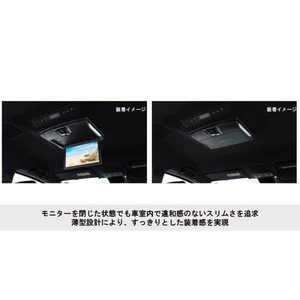 ビッグ割引 ALPINE アルパイン RSH10XS-R-B 10.1型WSVGA スリムリアビジョン ルームライト有モデル 本体色 fucoa.cl