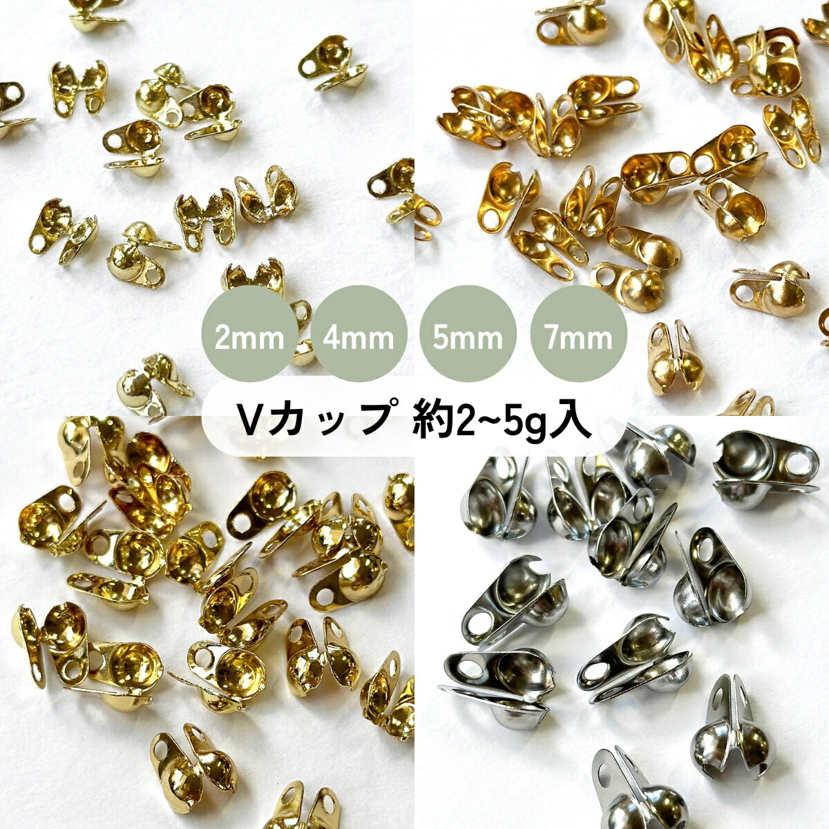 bs233_000.jpg