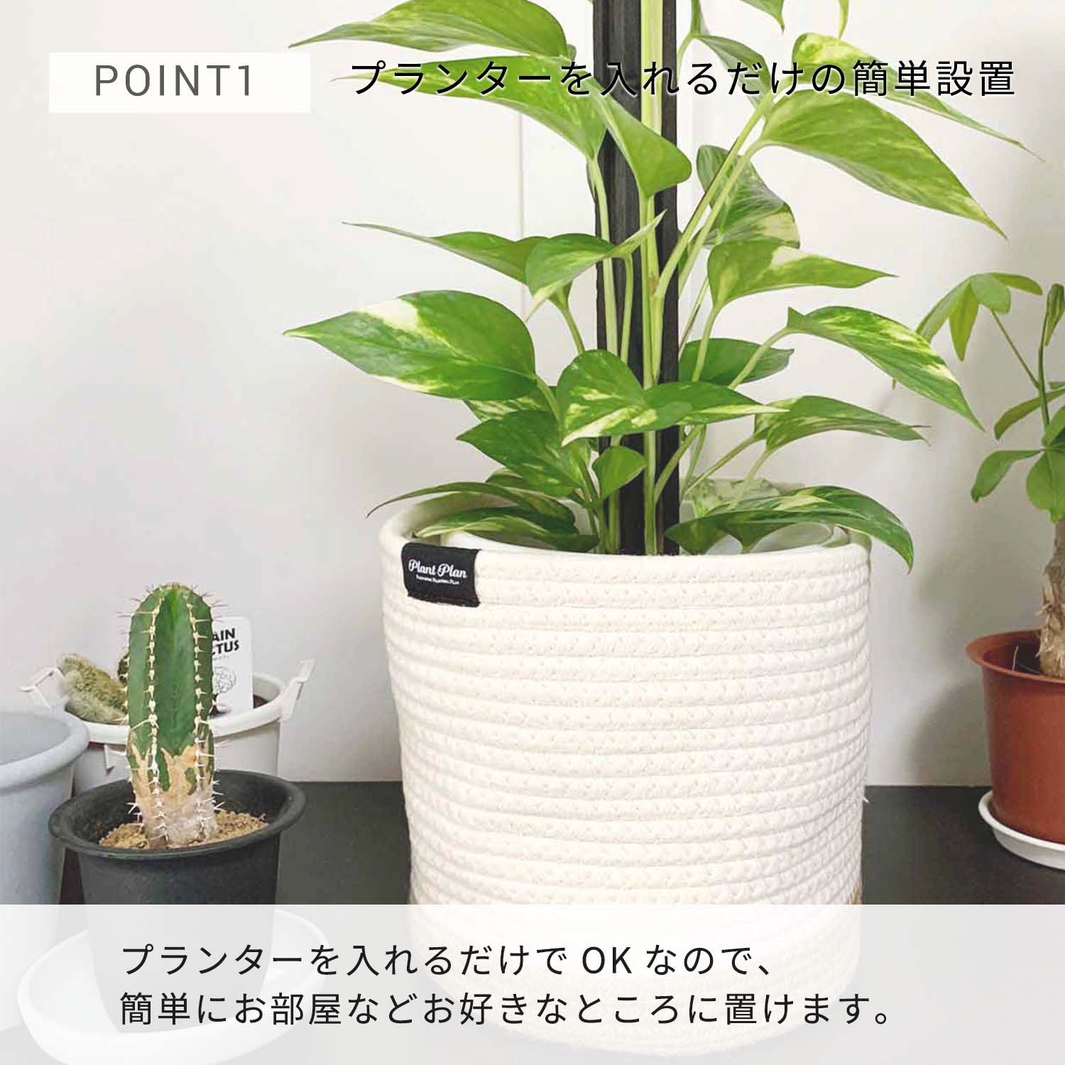 激安本物 Plant Plan プラントプラン プランターカバー ロープ M 植木鉢カバー 5号 6号 コットンロープ モノトーン 麻 プランター 観葉植物 カバー 鉢カバー 北欧 スタイリッシュ おしゃれ フェイクグリーン 多肉植物 Nicolacigroup It
