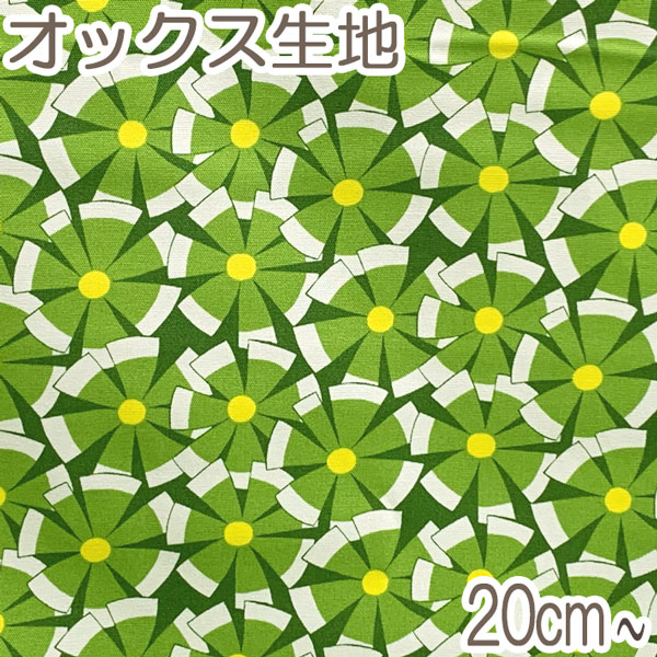 存在感が異次元。グリーンライン×フルジルコニアウォッチ 150g重厚ブリンブリン 存在感が異次元。グリーンライン×フルジルコニアウォッチ 150g
