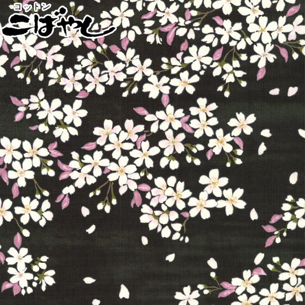 さや様　1本 4941430074949_01.jpg