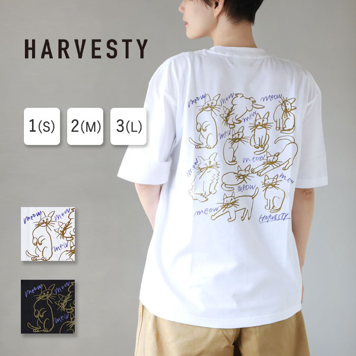 新着科目商品目録