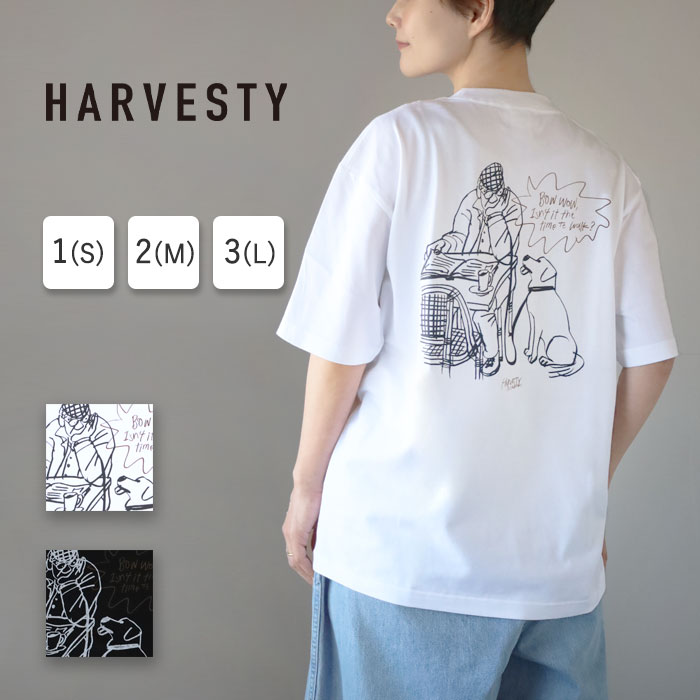 新着科目商品目録