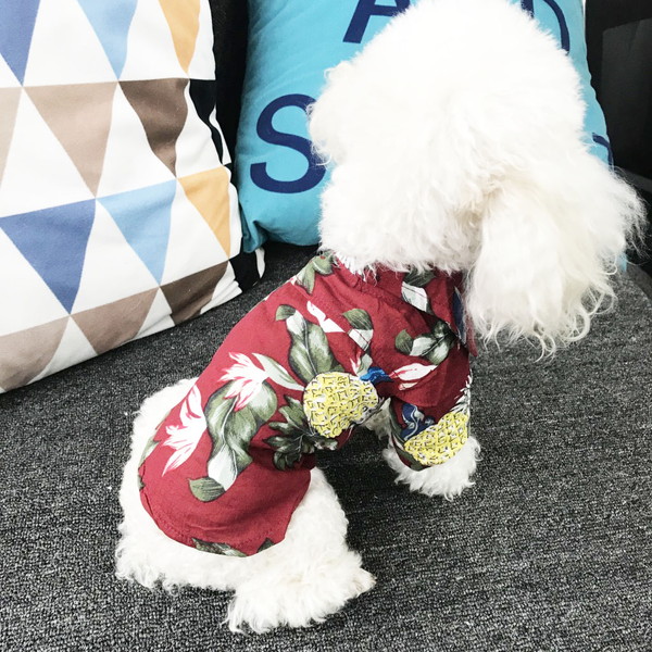 【楽天市場】犬 アロハシャツ 犬服 セール ハワイ リゾート サーフィン ビーチ 海 ALOHA アロハ シャツ かりゆし 犬 服 安い