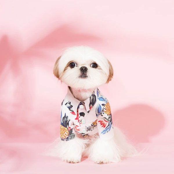 【楽天市場】犬 アロハシャツ 犬服 セール ハワイ リゾート サーフィン ビーチ 海 ALOHA アロハ シャツ かりゆし 犬 服 安い
