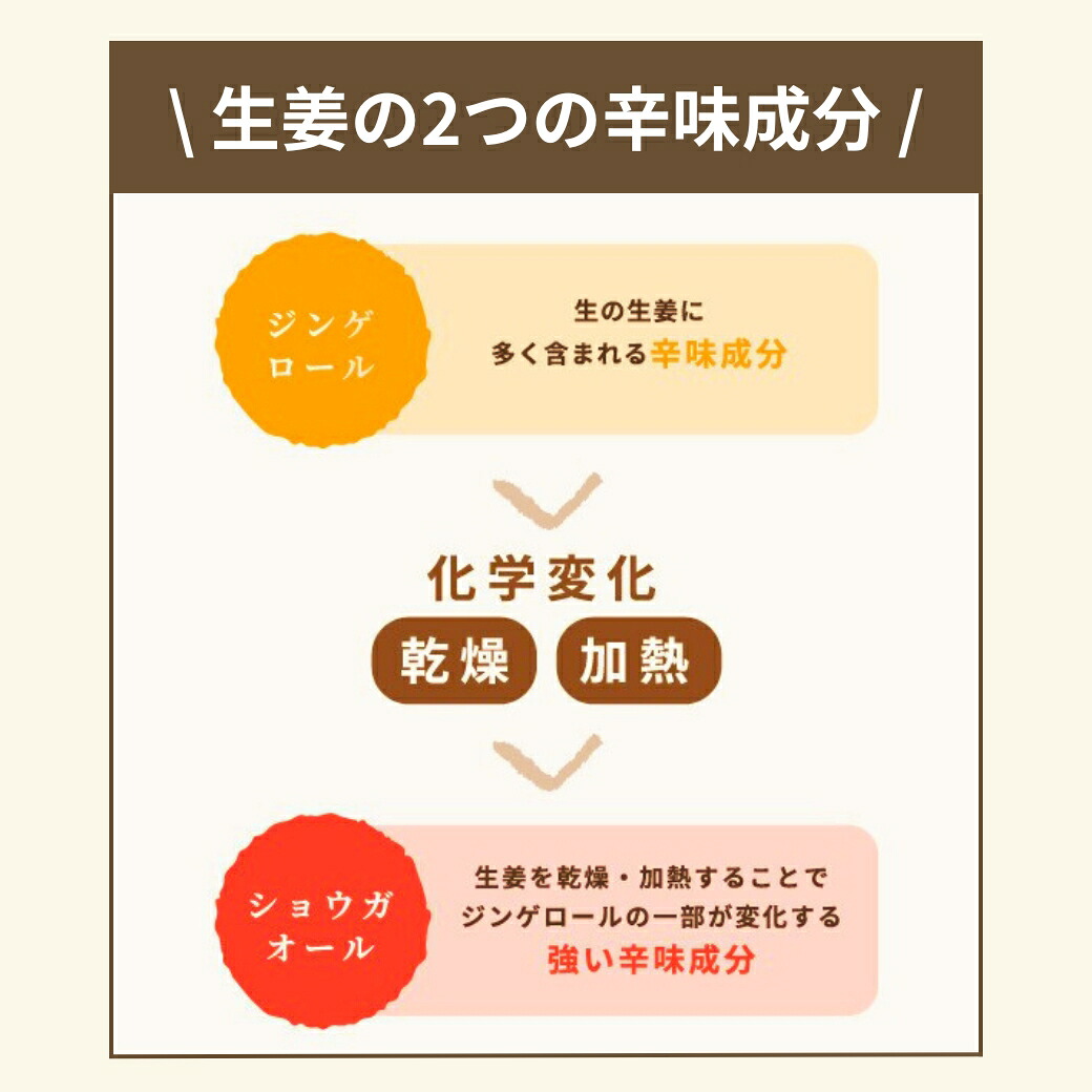 【10/1 23:59まで ポイント15倍】\高知県産 無添加 濃さ450倍/ クラフトジンジャー パウダー 75g 送料無料 ジンジャーパウダー 生姜パウダー ショウガオール 国産 生姜 乾燥生姜 粉末 生姜湯 しょうがパウダー ショウガパウダー 温活 メール便