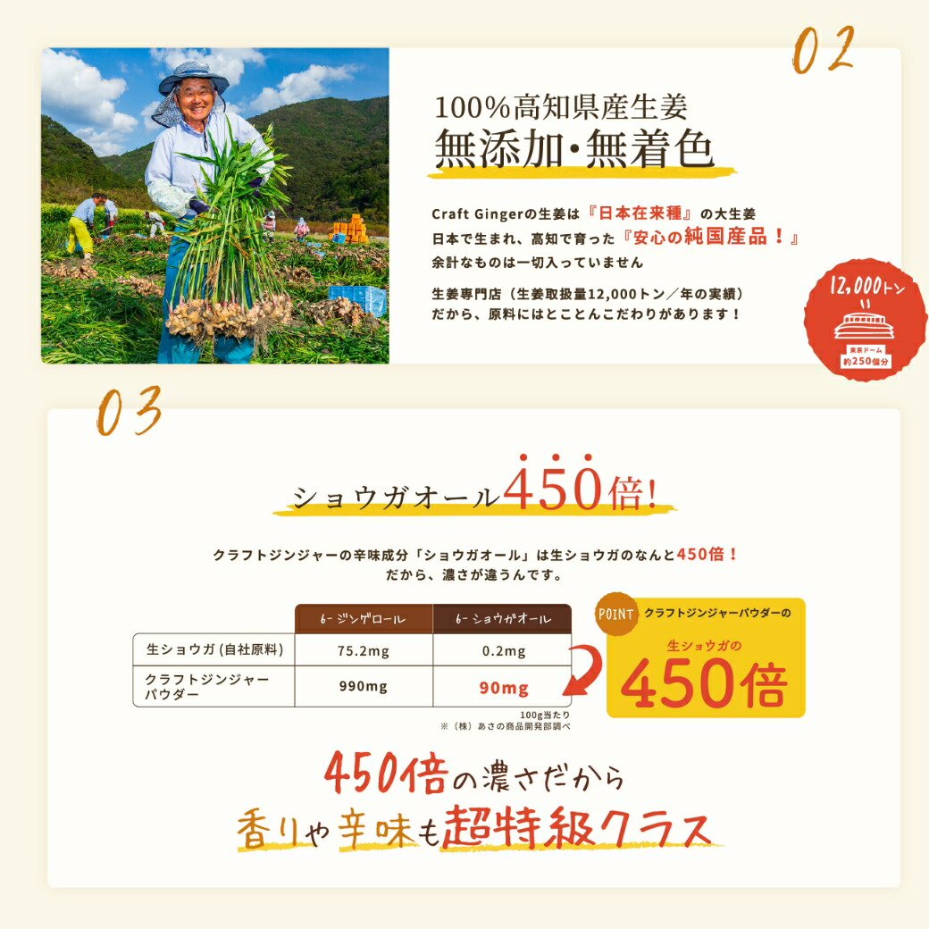 【10/1 23:59まで ポイント15倍】\高知県産 無添加 濃さ450倍/ クラフトジンジャー パウダー 75g 送料無料 ジンジャーパウダー 生姜パウダー ショウガオール 国産 生姜 乾燥生姜 粉末 生姜湯 しょうがパウダー ショウガパウダー 温活 メール便